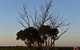 A Coonawarra Experience - thumb 24