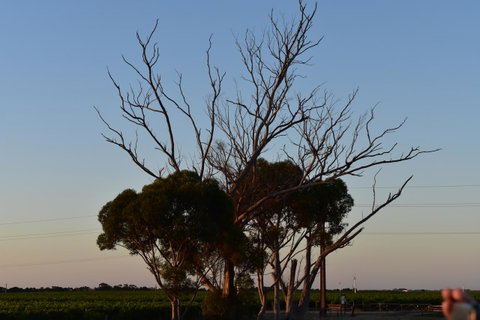 A Coonawarra Experience - Northern Rivers Accommodation 24