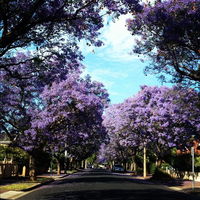 Book Wayville Accommodation Vacations Northern Rivers Accommodation Northern Rivers Accommodation