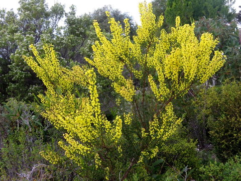Kestrel Downs - Northern Rivers Accommodation 26