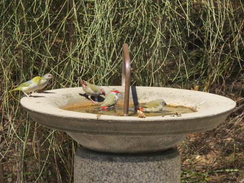 Kestrel Downs - Northern Rivers Accommodation 24