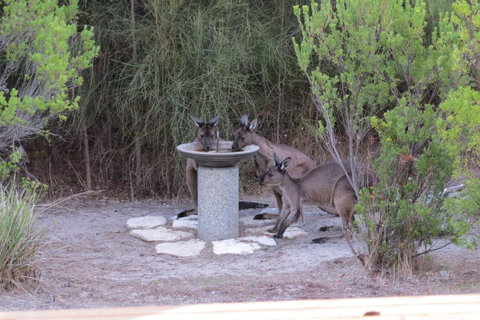 Kestrel Downs - Northern Rivers Accommodation 23