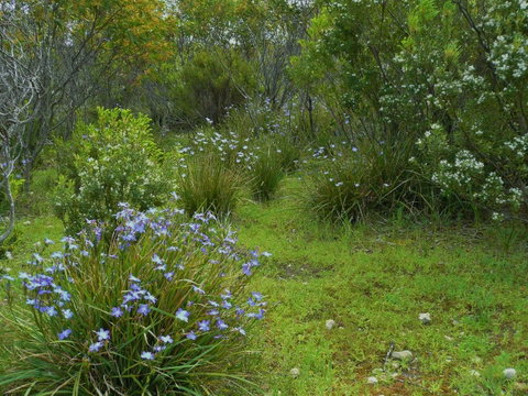 Kestrel Downs - Northern Rivers Accommodation 32