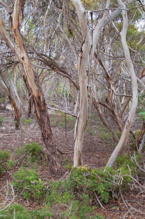 Kestrel Downs - Northern Rivers Accommodation 19