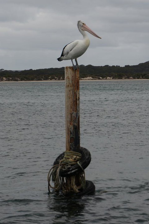 Kohinoor Getaway - Northern Rivers Accommodation 13
