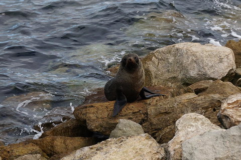 Kohinoor Getaway - Northern Rivers Accommodation 12