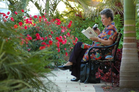 McLaren Vale Motel & Apartments - Northern Rivers Accommodation 22
