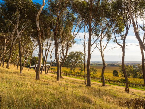 Shadow Creek McLaren Vale - Northern Rivers Accommodation 5