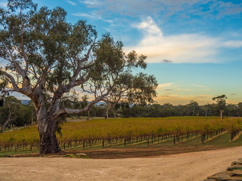 Shadow Creek McLaren Vale - Northern Rivers Accommodation 23