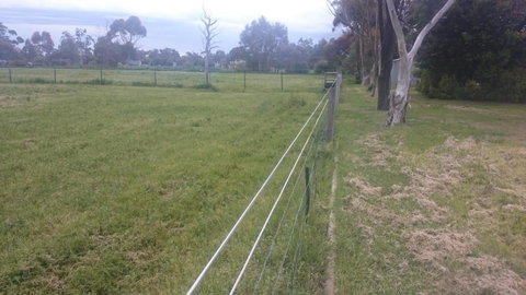 Gaerwood B&B - Northern Rivers Accommodation 17