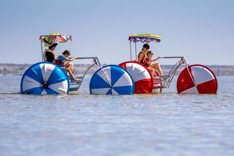 Discovery Parks - Lake Bonney - Northern Rivers Accommodation 26