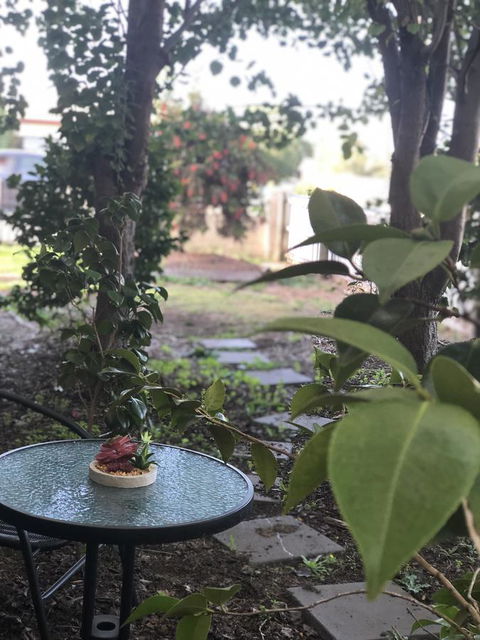Olive\'s Cottage - Northern Rivers Accommodation 2