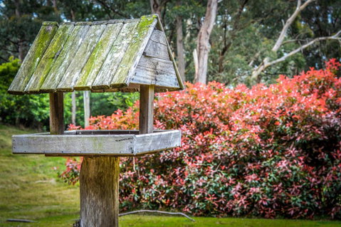 Ghost Hill Road Retreat - Northern Rivers Accommodation 17