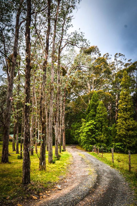 Ghost Hill Road Retreat - Northern Rivers Accommodation 14