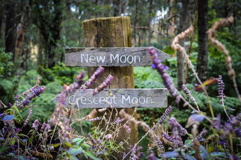 Ghost Hill Road Retreat - Northern Rivers Accommodation 15