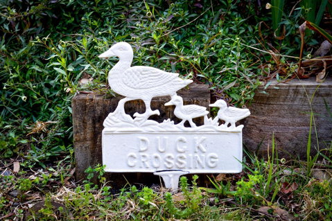 Ghost Hill Road Retreat - Northern Rivers Accommodation 23