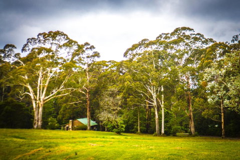 Ghost Hill Road Retreat - Northern Rivers Accommodation 8