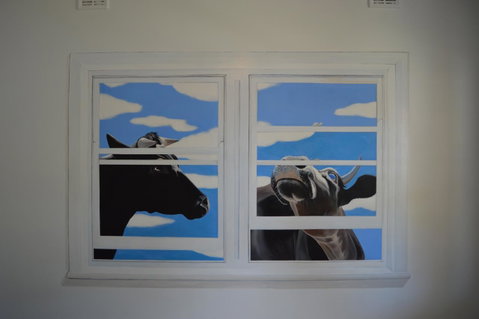 Two Cow Cottage Bed & Breakfast - Northern Rivers Accommodation 24