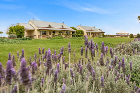Barossa Vineyard Cottages - Northern Rivers Accommodation 10