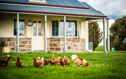Barossa Vineyard Cottages - Northern Rivers Accommodation 40