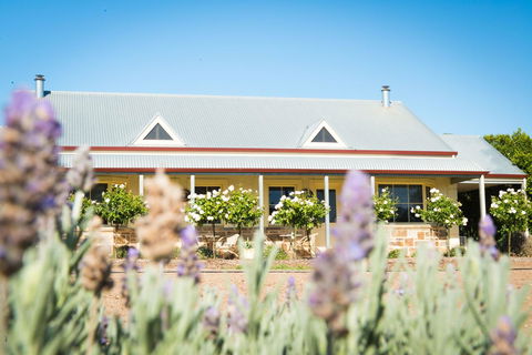 Barossa Vineyard Cottages - Northern Rivers Accommodation 3