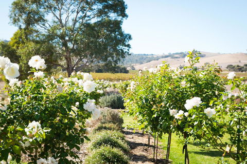 Barossa Vineyard Cottages - Northern Rivers Accommodation 1