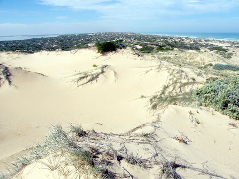 Coorong Waterfront Retreat - Northern Rivers Accommodation 32