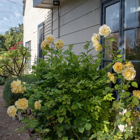 Haven Cottage Kangaroo Island - Northern Rivers Accommodation 1