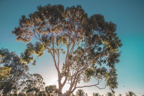Seppelts View Cabins - Northern Rivers Accommodation 24