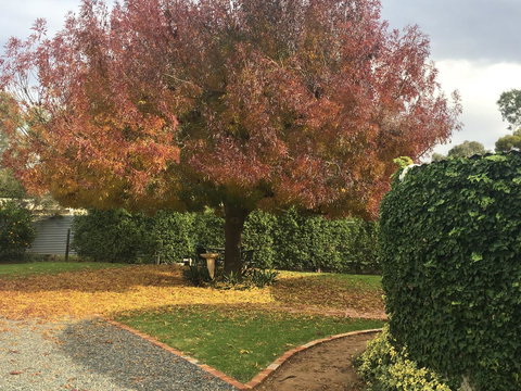 Barossa Retro BnB - Northern Rivers Accommodation 30