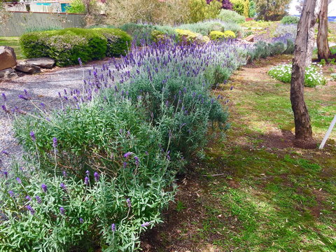 Barossa Retro BnB - Northern Rivers Accommodation 23