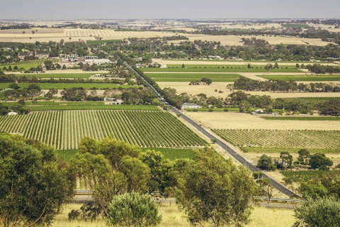 Angaston House - Northern Rivers Accommodation 18