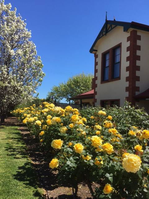 Wine And Roses Bed And Breakfast - Northern Rivers Accommodation 5