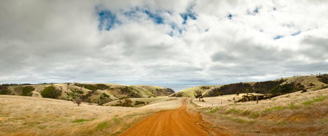 Penneshaw Oceanview Apartments - Northern Rivers Accommodation 20