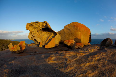 Penneshaw Oceanview Apartments - Northern Rivers Accommodation 21
