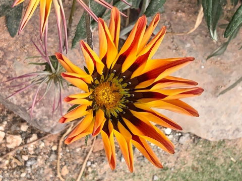 Aussie Opal Diggers Outback Retreat-Undergound - Northern Rivers Accommodation 26