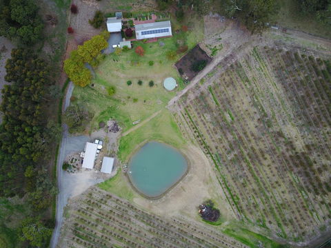 STUDIO ECHUNGA Adelaide Hills - Northern Rivers Accommodation 22