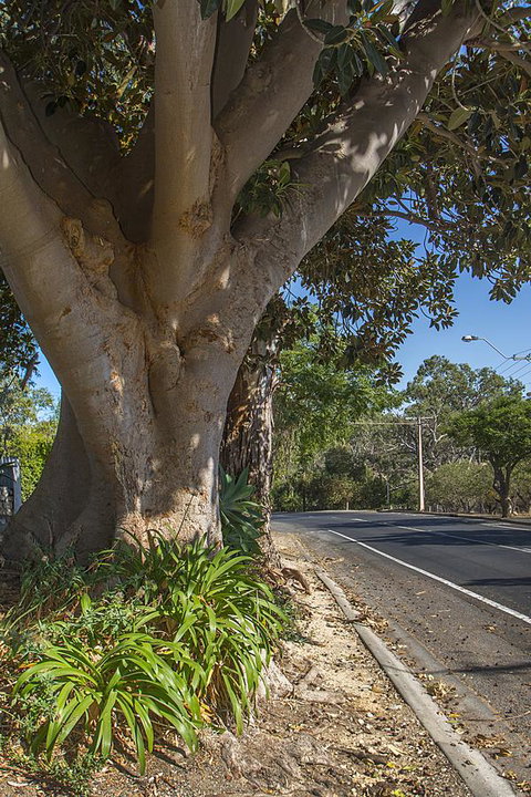 Stoneleigh Cottage Bed And Breakfast - Northern Rivers Accommodation 25