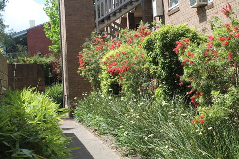 Adelaide DressCircle Apartments - Archer Street - Northern Rivers Accommodation 18