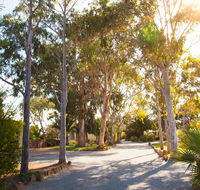 Modra's Apartments - Northern Rivers Accommodation