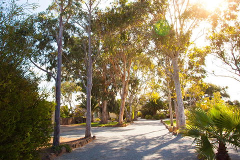 Modra\'s Apartments - Northern Rivers Accommodation 0