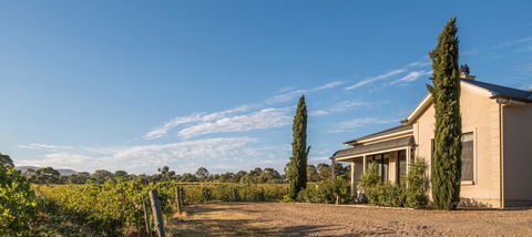 Barossa Shiraz Estate - Northern Rivers Accommodation 13