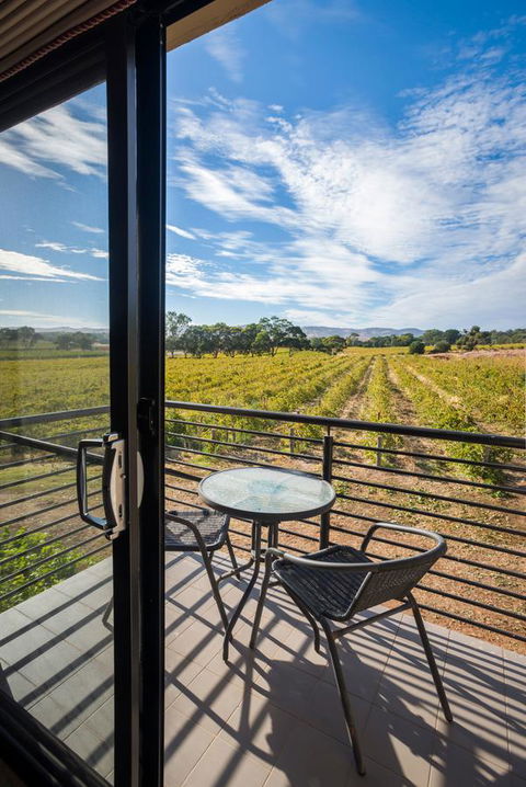 Barossa Shiraz Estate - Northern Rivers Accommodation 33