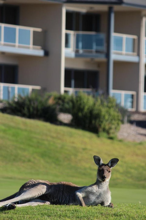 Lady Bay Hotel - Northern Rivers Accommodation 16