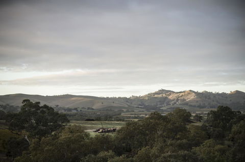 Novotel Barossa Valley Resort - Northern Rivers Accommodation 23
