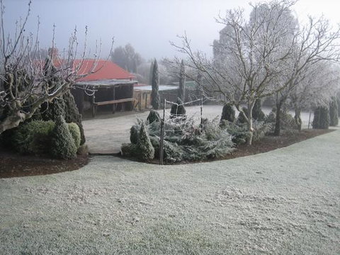 Vineyard Cottage BnB - Northern Rivers Accommodation 15