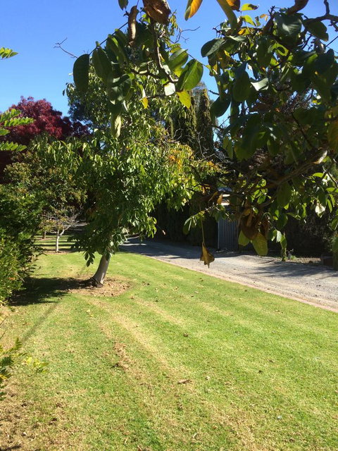 Vineyard Cottage BnB - Northern Rivers Accommodation 17