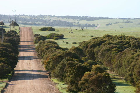 Almonta Park Lodge - Northern Rivers Accommodation 1
