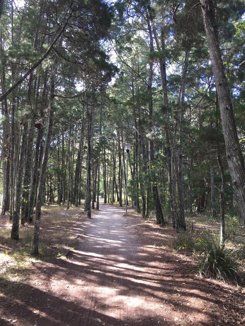Brunswick Heads Treetop Studio - Northern Rivers Accommodation 8