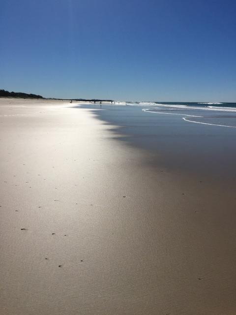 Brunswick Heads Treetop Studio - Northern Rivers Accommodation 23